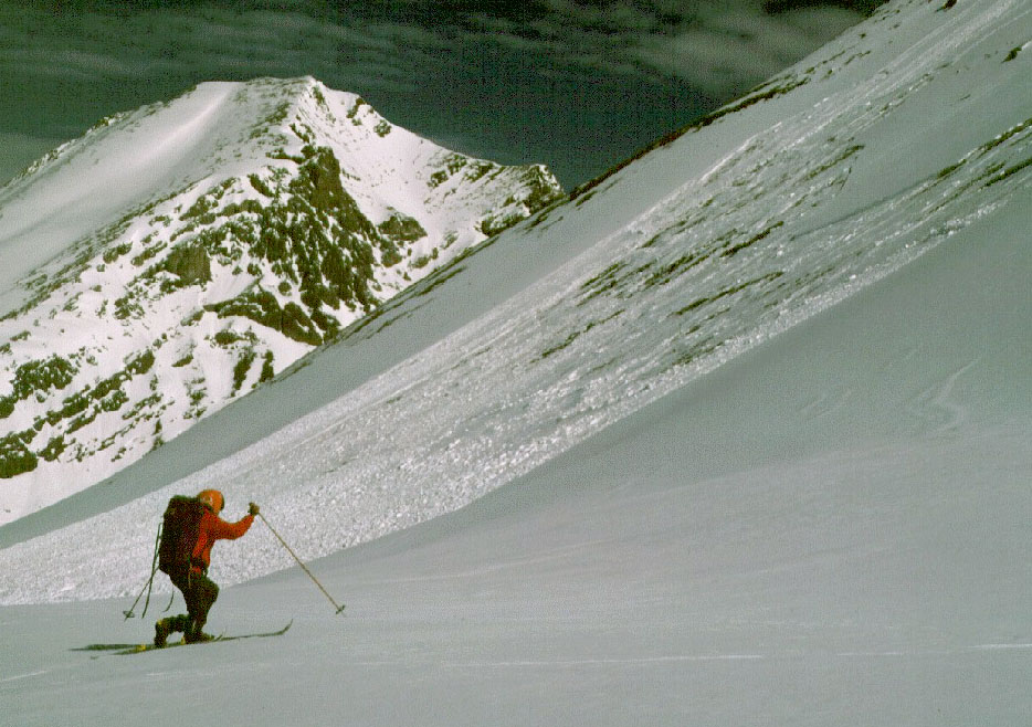 	Skier & avalanche track			Canada-AB