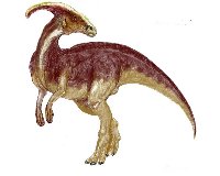Parasaurlopholus