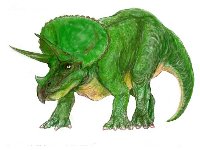 Triceratops